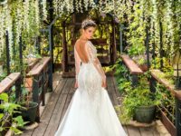 woman-in-white-wedding-gown-standing-on-brown-wooden-pathway-3739003